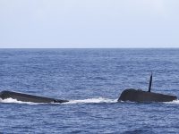 Французские рыбаки поймали в сети португальскую подводную лодку