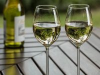 Каковы основные правила употребления вина?