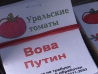 В России вывели сорт помидоров «Вова Путин»