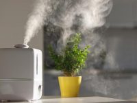 Как выбрать увлажнитель воздуха для дома