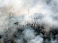 В Забайкалье массовые пожары: дым от огня видно над США и Канадой