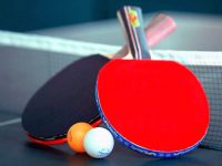 Любительские и профессиональные мячи для настольного тенниса – в чем различия?