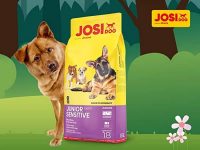 Josi Dog: польза натуральных ингредиентов для здоровья вашей собаки