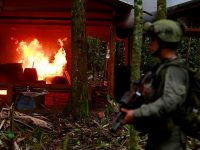 В Колумбии уничтожили более 100 лабораторий по производству кокаина
