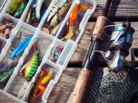Как научиться ловить рыбу – основы рыбалки