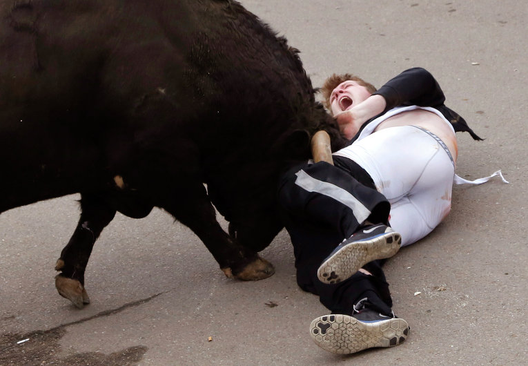 В Испании бык снял с посетителя корриды штаны (видео)
