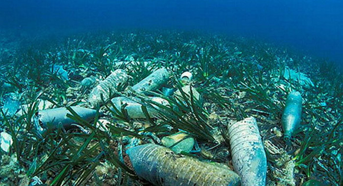 Азиатские страны договорились очищать океан от пластикового мусора