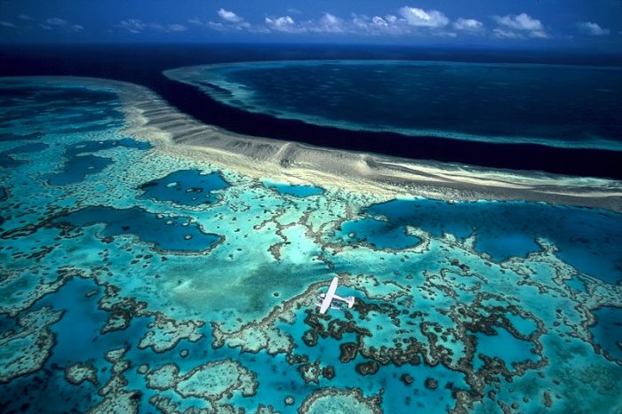 Большой Барьерный риф может окончательно обесцветиться, - ученые