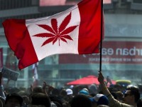 Новый премьер-министр Канады Джастин Трюдо инициирует легализацию наркотиков