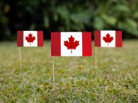Визы в Канаду: откройте двери в новую жизнь с помощью профессиональных визовых услуг
