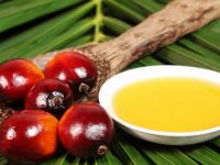 ЕС намерен запретить использование пальмового масла