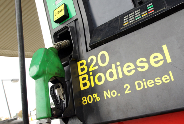 Евросоюз заставил Эстонию добавлять в бензин биодобавки