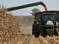 Фермеры обеспечивают более 41% украинского экспорта