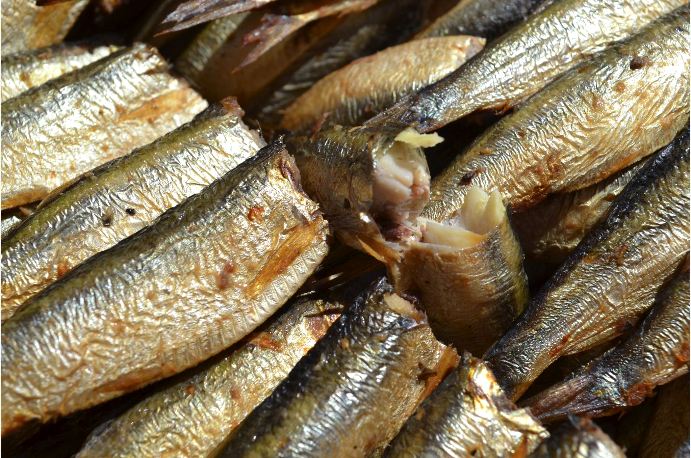 Россия запрещает рыбу и рыбные консервы из Польши