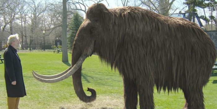 Гибрид мамонта и слона может быть создан в течение двух лет