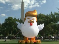 Гигантский надувной цыпленок “следит” за Белым домом