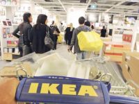 IKEA в 2017 году стала одним из крупнейших владельцев лесов в Литве