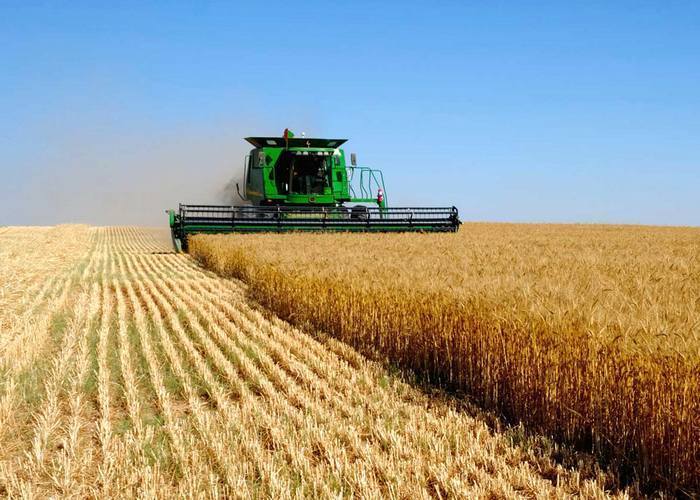 Инвестиции в сельское хозяйство Украины выросли на 58%