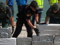 Испанская и немецкая полиция обнаружили тонну кокаина в партии стройматериалов из Колумбии