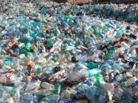 Исследователи обнаружили на необитаемом острове рекордное количество пластиковых отходов