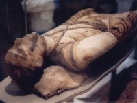 Исследователям впервые удалось расшифровать ДНК египетских мумий