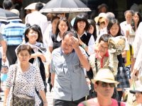 Жара в Японии продолжается: за неделю госпитализированы 880 человек