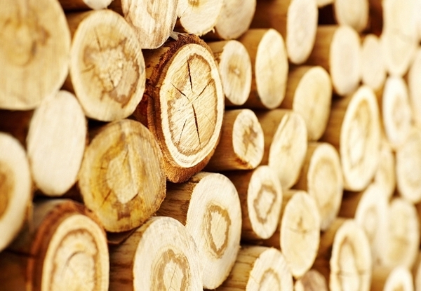 Как уменьшить растрескивание древесины?