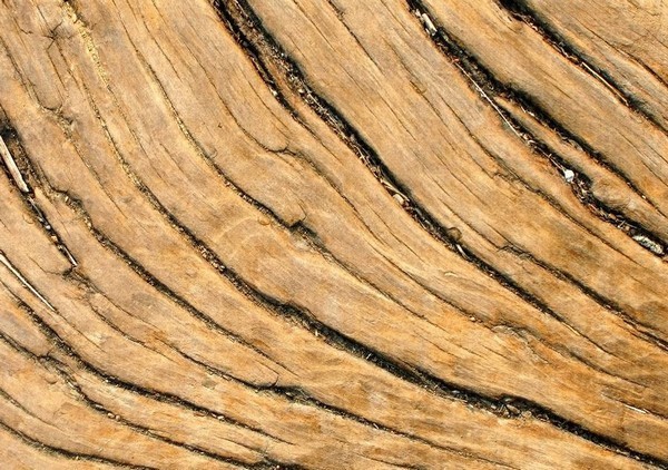 Как уменьшить растрескивание древесины?
