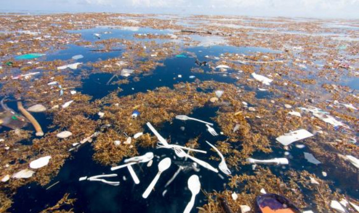 Карибское море столкнулось с проблемой масштабного загрязнения пластиковыми отходами