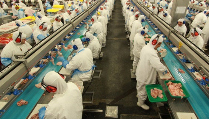 Китай и Европейский союз отказываются от бразильского мяса