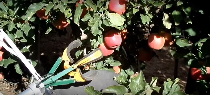 Компания FFRobotics предлагает использовать роботов для уборки урожая фруктов
