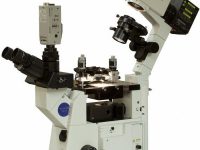 Купить зондовый микроскоп через интернет-магазин