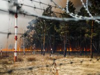 За последние сутки на Забайкалье площадь пожаров увеличилась на 10 тысяч гектаров