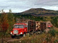 Бизнес-идея: производство и техническое обслуживание лесовозной техники