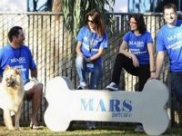 Mars покупает компанию VCA, работающую в сфере ветеринарных услуг