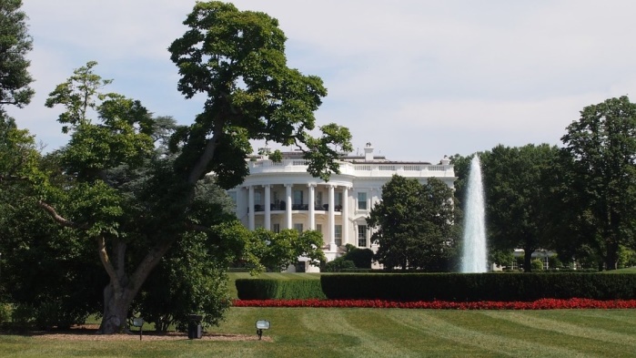 Меланья Трамп решила спилить самое старое дерево у Белого дома