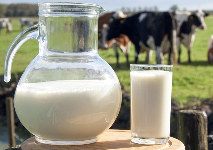 Качественное и натуральное молоко: на что обратить внимание фото Украина 2020