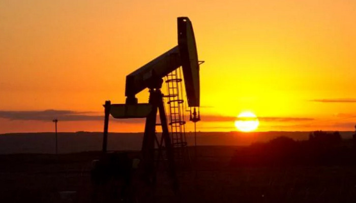 ОПЕК: спрос на бензин в США поднимет цены на нефть