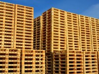 Бизнес идея: производство и продажа деревянных поддонов