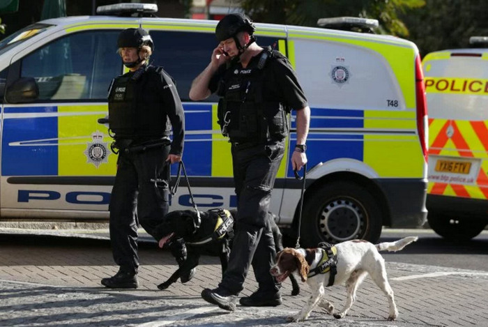 Полиция Лондона начала расследование террористического инцидента в метро