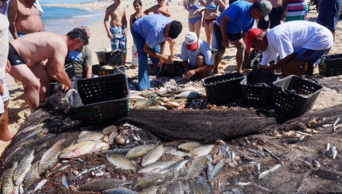 Португальским рыбакам угрожает 15-летний рыболовный запрет