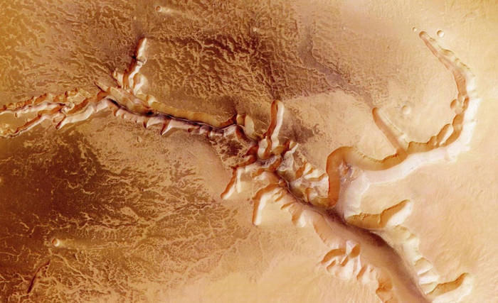 Поверхностный грунт Марса токсичен для всех видов растений, - ученые