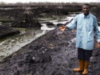 Протестующие штурмуют нефтепровод Shell в дельте реки Нигер