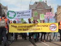 Зона свободной торговли с США под угрозой: в Нидерландах назревает очередной референдум