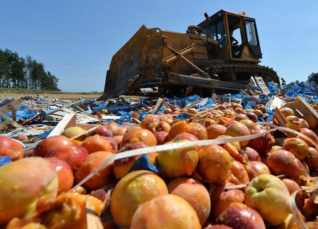 Россияне уничтожили фрукты, прибывшие из Беларуси
