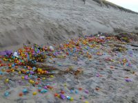 Рождественское чудо: на берег моря в Германии вынесло тысячи яиц-киндер-сюрпризов (фото, видео)