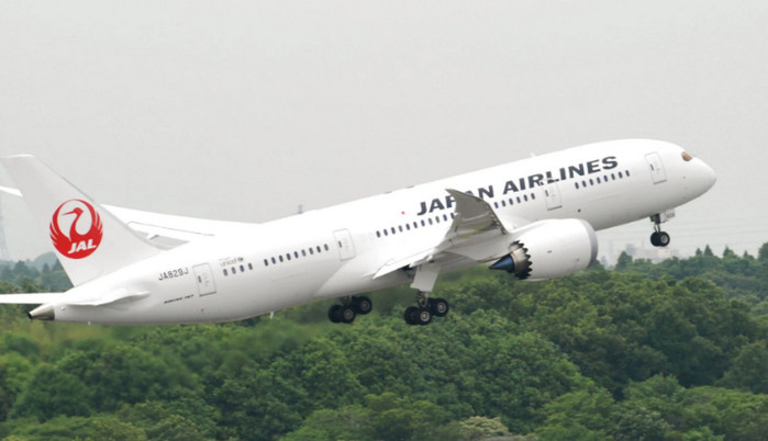 Самолет Japan Airlines совершил аварийную посадку в Токио