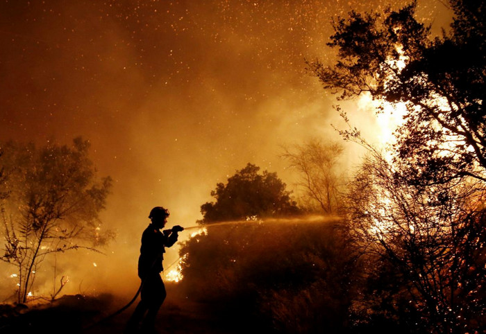 Сильный лесной пожар повредил десятки домов в Греции