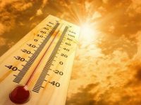 Синоптики США прогнозируют жару до 49 градусов