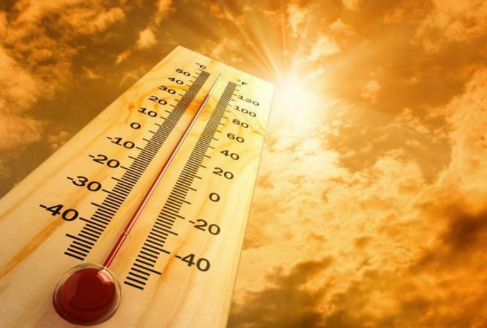 Синоптики США прогнозируют жару до 49 градусов
